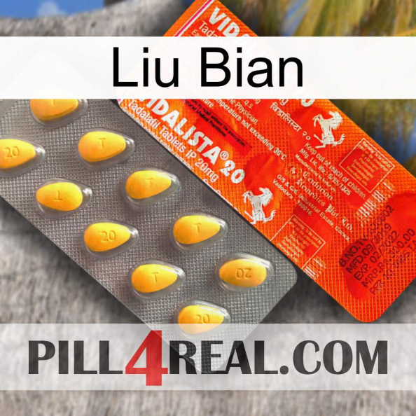 Liu Bian new01